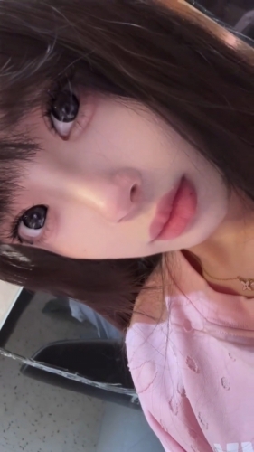 小海豚的照片
