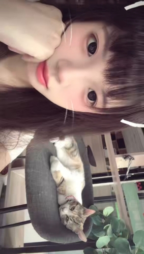还能吃一碗u的照片