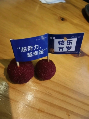 路边的野花的照片