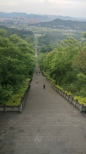 莹呀的照片