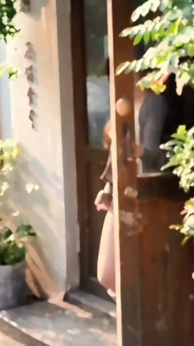 小百合的照片