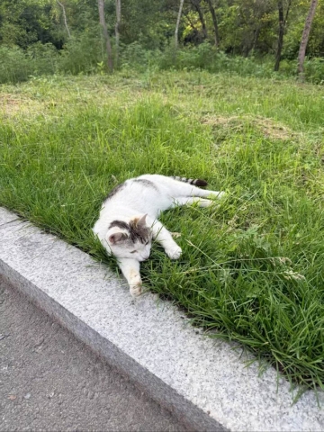 哆啦A梦的小口袋的照片