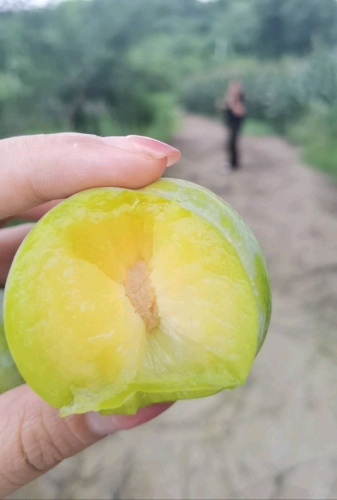 甜A甜的照片