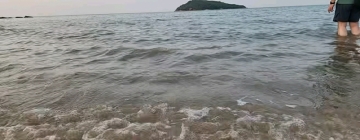 桃之夭夭吖的照片