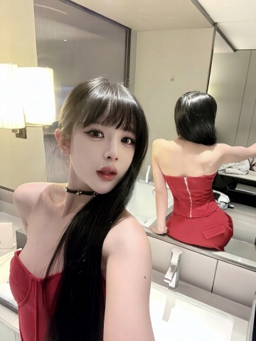小海豚的照片