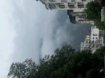 秋天呀的照片