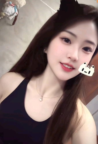 梯田的照片