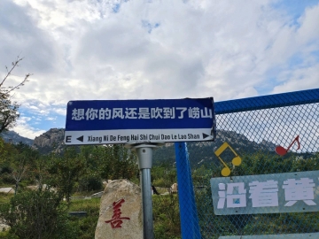 Jane的照片