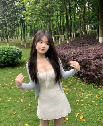 梯田的照片