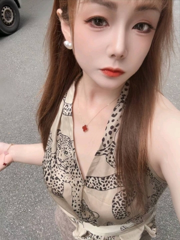 野猫艾杉的照片