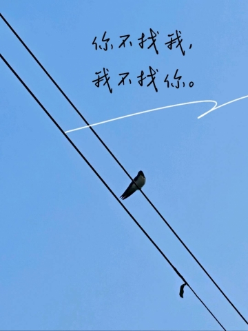 Jane的照片