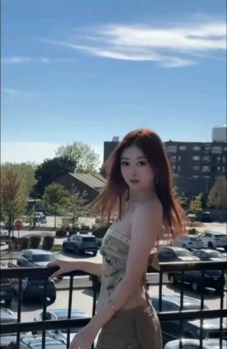 小百合的照片
