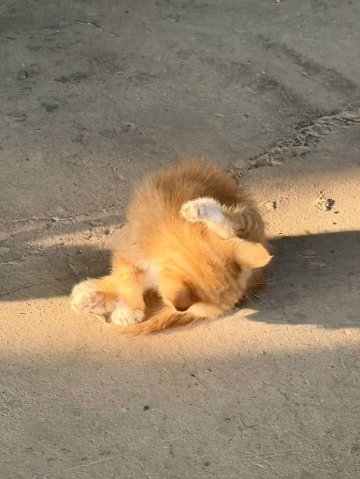 拧夏初开的照片
