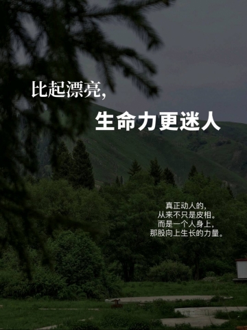Jane的照片