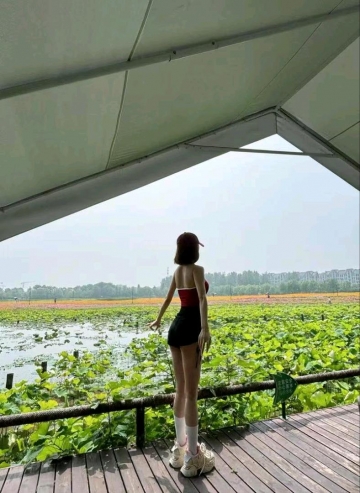桃之夭夭吖的照片