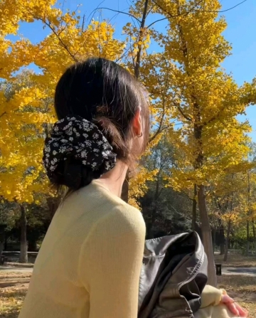 你的公主呀的照片