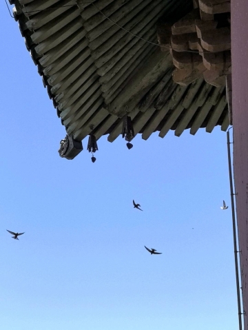 Jane的照片