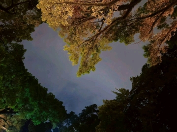 BXG的照片