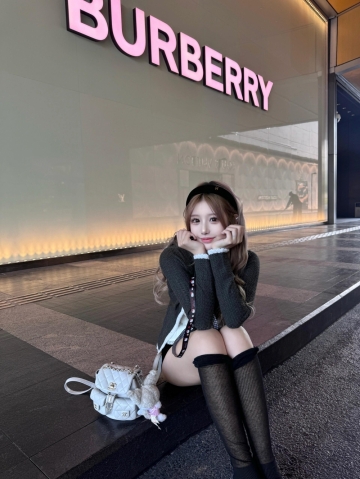 春天的燕子的照片