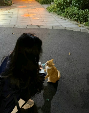 潇蝶的照片