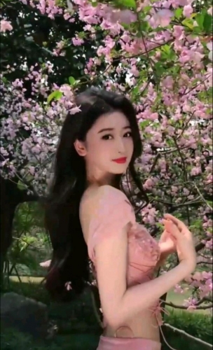 小百合的照片