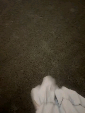 愿時光不被辜负的照片