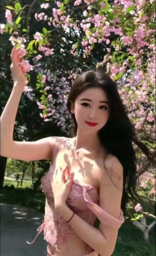 小百合的照片