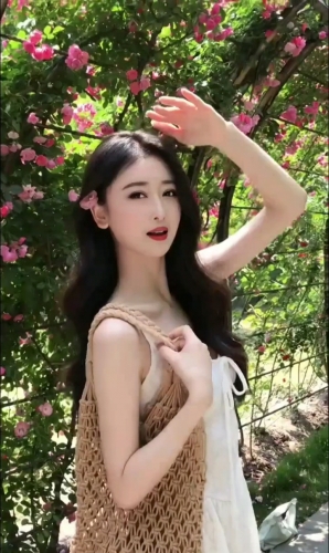 小百合的照片