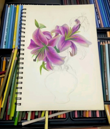 小梨椰条的照片