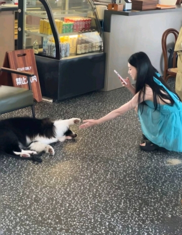优雅姑娘的照片