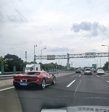 画眉0102的照片