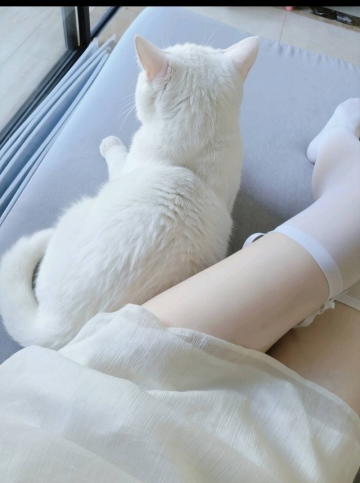 Oy空白的照片