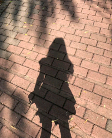 悠悠pp的照片