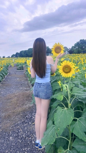 AAsnd的照片