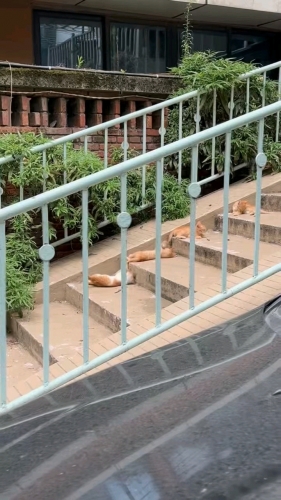 愿時光不被辜负的照片