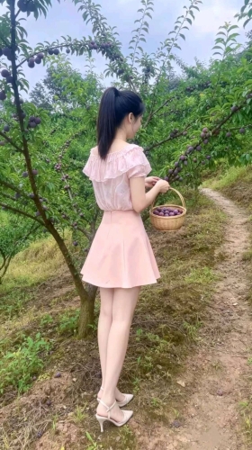 嘉嘉鸭的照片