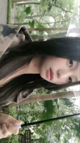 11鱼卷的照片