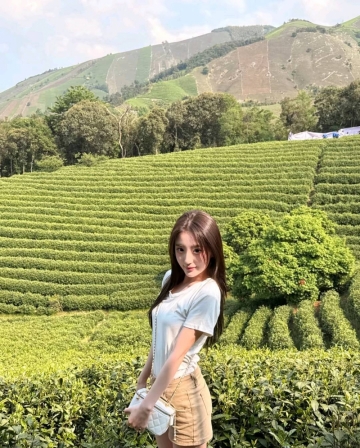 嗯哼111的照片
