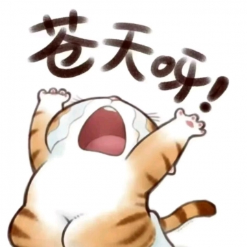 小仙女的照片