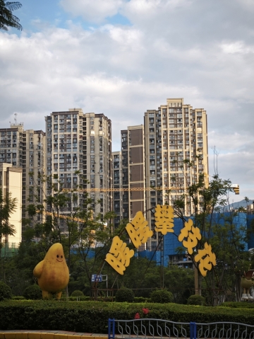 傻大叔的照片