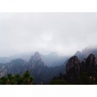 小姗的照片