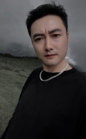 黑乌鸦的照片