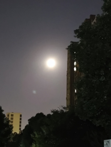 就爱吃蛋黄的照片