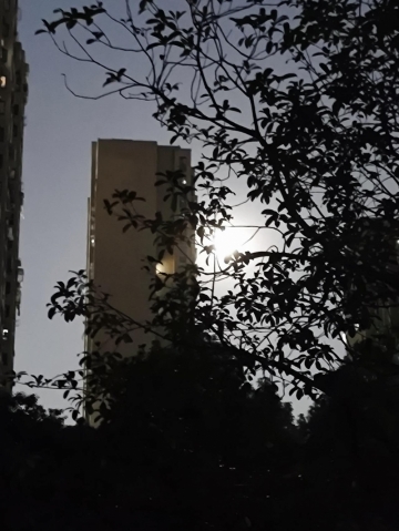 就爱吃蛋黄的照片
