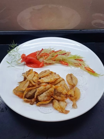 Lee8486的照片