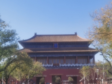风之子2024的照片