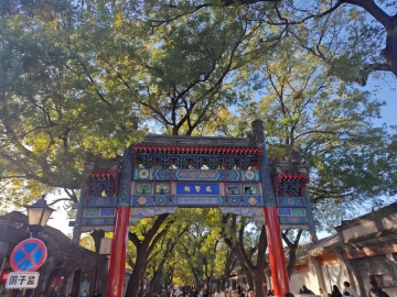 风之子2024的照片