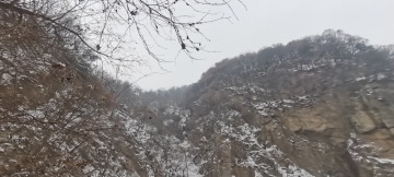 山巅的照片