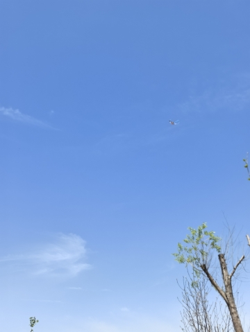色即是空118的照片