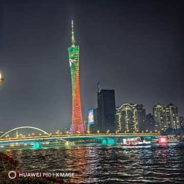 黄色港湾的照片